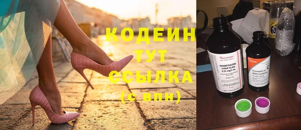 эйфоретик Каменногорск